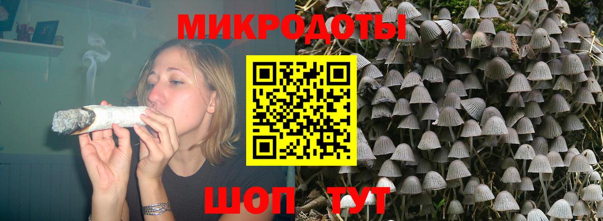 Галлюциногенные грибы Magic Shrooms Удомля